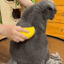 Cepillo de Vapor 3-en-1 Autolimpiante para Gatos