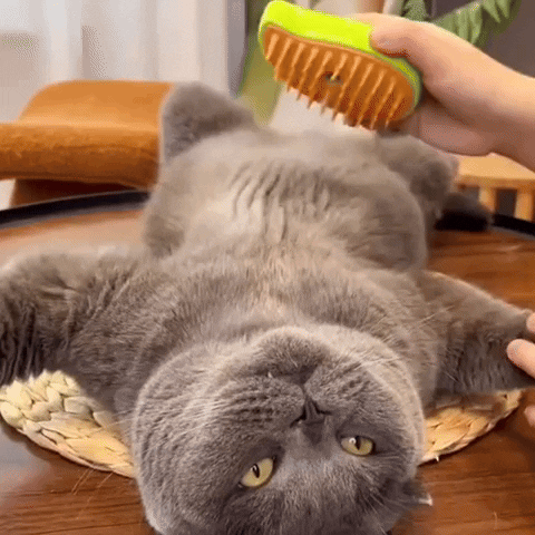 Cepillo de Vapor 3-en-1 Autolimpiante para Gatos